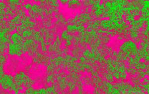 爆ぜる - Yukihiro Sato 