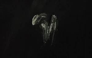 例えば夏の終わり、家族の記憶、家族が愛しくて(カマキリの亡骸悲愛) - 真鍋哲地