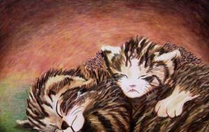 いつもいっしょ - 萩原克典 