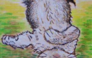 ぽこ - 萩原克典 