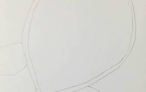 海がめ - 宇宙水晶