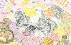 秋が来たょ~~。。 - まねきぱんだ