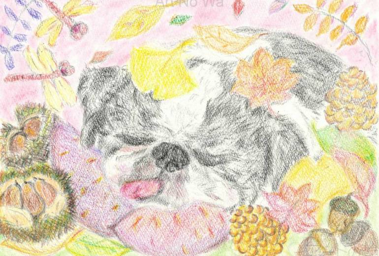 秋が来たょ～～。。