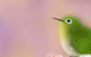 クラブ　メジロの春 - 【イベント】Challenged Artist Project【2025】 