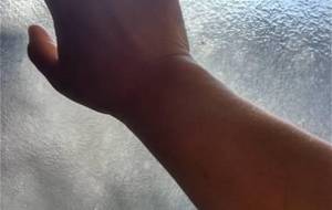 ひなたぼっこ家族皆で行こ、ほら皆、笑って、ほら暖かいよ - 真鍋哲地