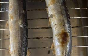 生秋刀魚焼く - 笹谷正博 