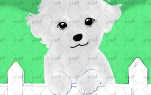 マルチーズ - 聖羽SEIHA