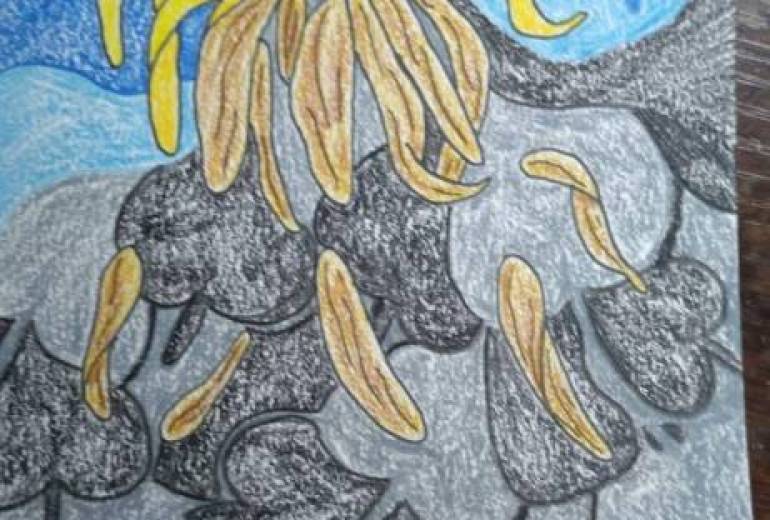 スペード 綺麗な花ほど儚く散る