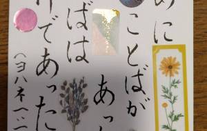 みことばかーど - エミリ