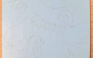 白鳥と鳳凰 - 宇宙水晶