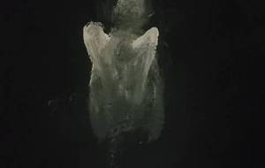 暗闇の天使、（愛があるから） - 真鍋哲地 