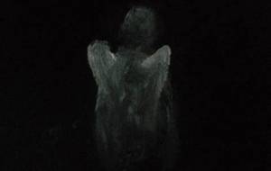 天使、私は愛する - 真鍋哲地 