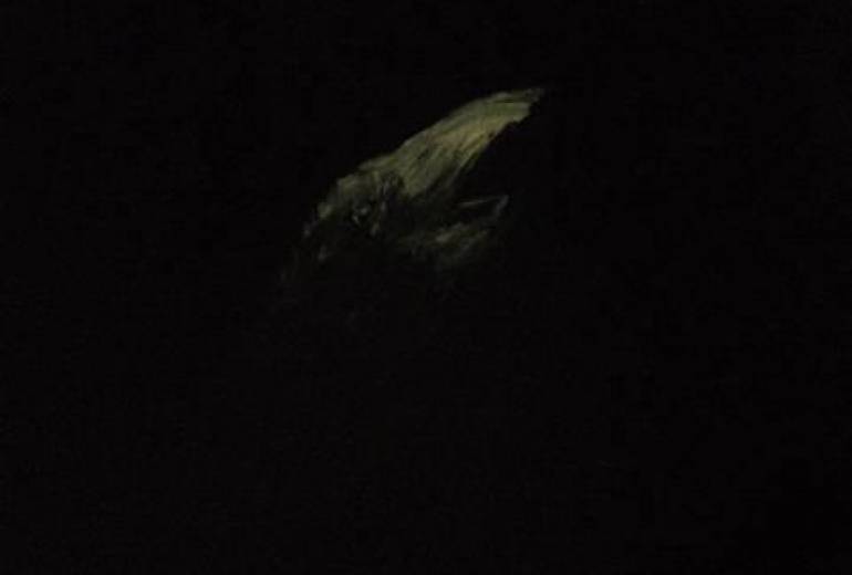 夜鴉の鳴き声、（暗闇に響く）