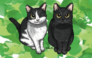 でんすけとりょうた - Yukari