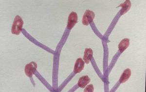 アール・ブリュット挑戦 - 笹谷正博 