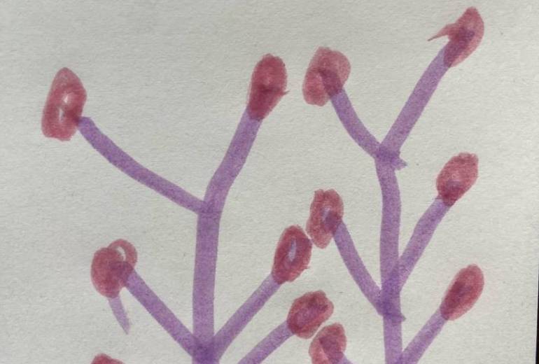 アール・ブリュット挑戦