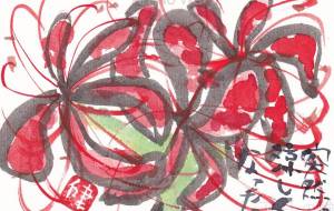 2025年、異常気象と彼岸花 - Mads Ken