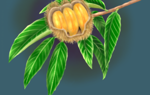 びっくりきゅうに化け栗 - ゆめ大福 