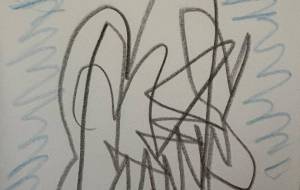 アール・ブリュット挑戦 - 笹谷正博 