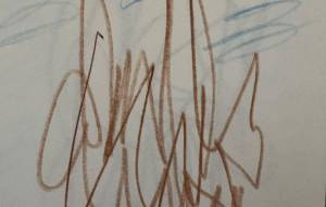 アール・ブリュット挑戦 - 笹谷正博 