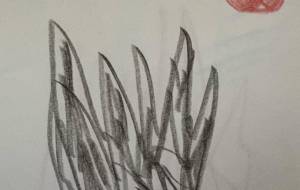 アール・ブリュット挑戦 - 笹谷正博