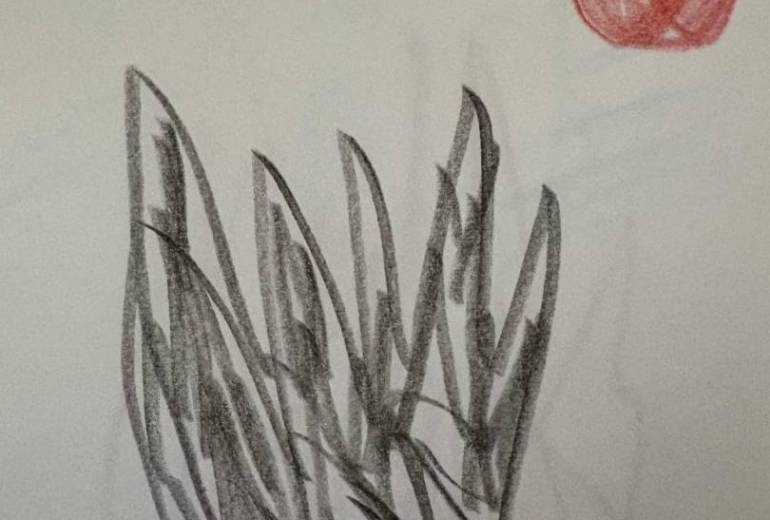 アール・ブリュット挑戦