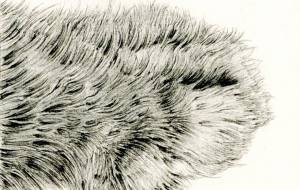 猫の手2022 - 山田貴裕 