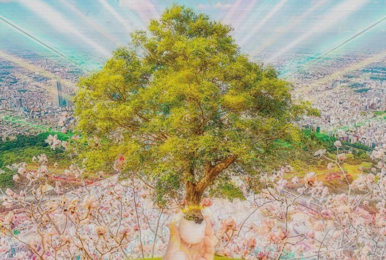 クラブ　春、自然と社会との共存