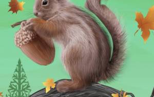 リス - 落合浩太郎 