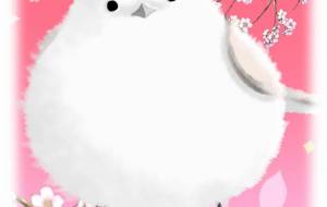 シマエナガ - 落合浩太郎 