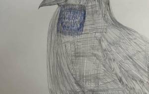 おすの鳥のカラス - TETSUKO.K 