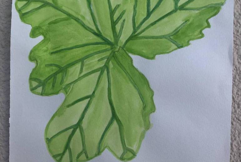 ペパーミントゼラニウム