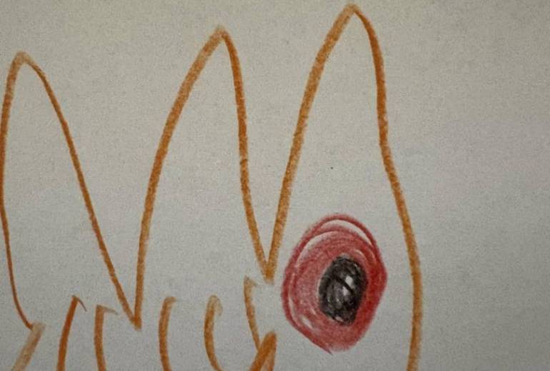 アール・ブリュット挑戦