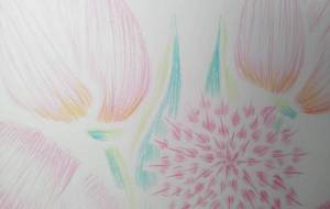 優しいこころ…… - サオリ