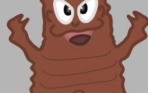 レッドゼドラ - アクター