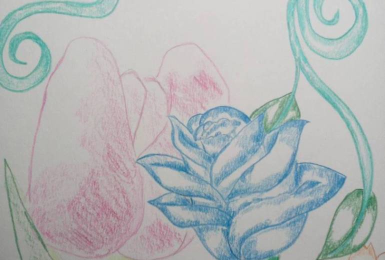 不思議の国のはなばな