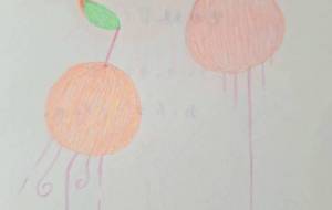 りんごランプ - 宇宙水晶 