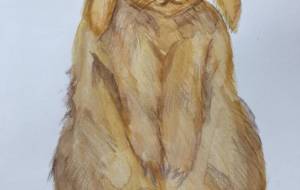 ふわふわウサギのアキちゃん - ナカリ