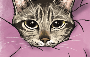 ぬくぬく - Yukari