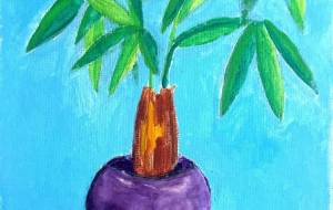 パキラ - 月見屋ちえり 