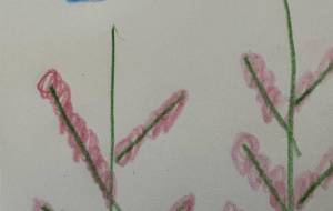 アールブリット挑戦 - 笹谷正博 