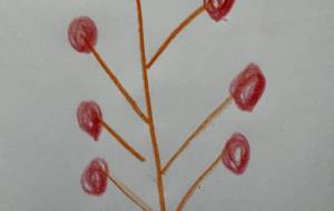 アールブリット挑戦 - 笹谷正博