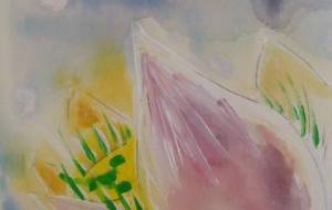 冬の桜……… - サオリ