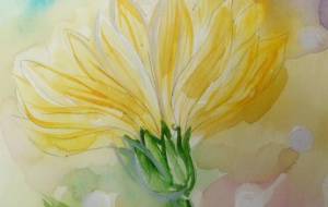 昼間と透明な夏の花には…… - サオリ 