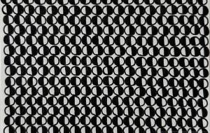 RNA - 朔