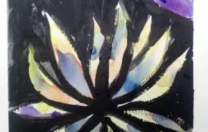 瑠璃色の菊の花……… - サオリ 