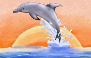 夕日とイルカ - タツロー