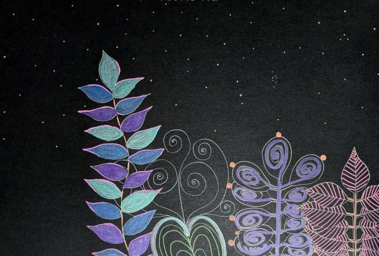 スペード　夜行性植物