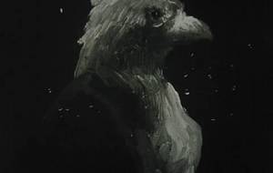 私は鳥型異性人、私は愛するを教えに遠くから来た - 真鍋哲地 