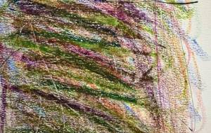 やればできる子 - 笹谷正博 